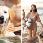 해수욕장에 반려견 데려와 같이 수영하는 가족…“함께하는 휴가 존중” vs “민폐 아니냐”