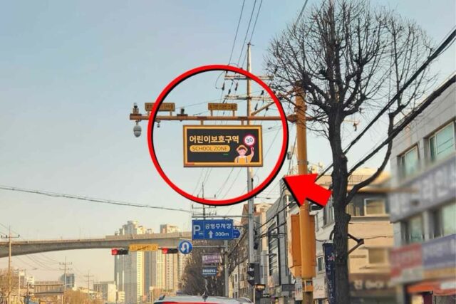 “세금 진짜 잘 썼네” 요즘 스쿨존에 도배된 ‘이것’