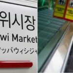 인천 지하철 2호선 에스컬레이터서 70대 여성 넘어져 연쇄 사고… 6명 부상