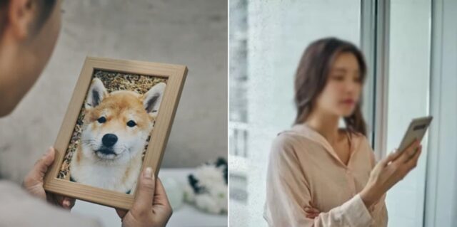 “반려견 장례식한다는 친구가 당연하게 ‘조의금’을 달라고 합니다”