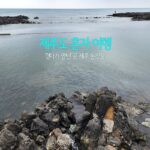제주도 혼자 여행 걷다가 만난 곳 제주 논짓물