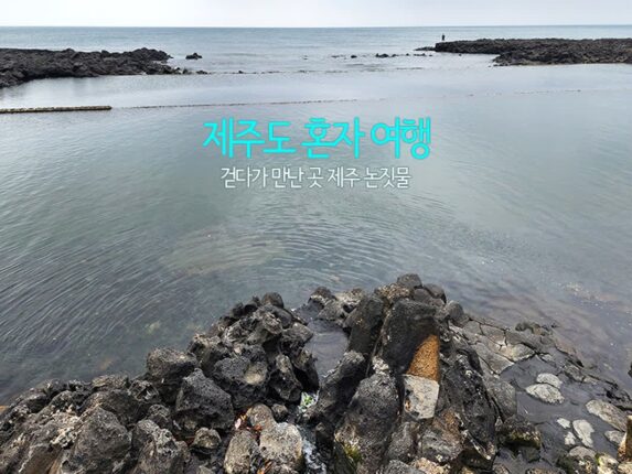 제주도 혼자 여행 걷다가 만난 곳 제주 논짓물
