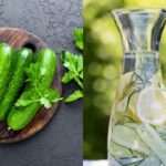 “물에 3시간만 담가두면 끝”…마시기만 하면 되는 ‘오이물’의 놀라운 효과 10가지