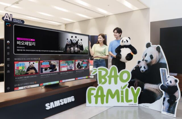 바오패밀리 보러가자···삼성 TV 플러스, 신규 채널 추가