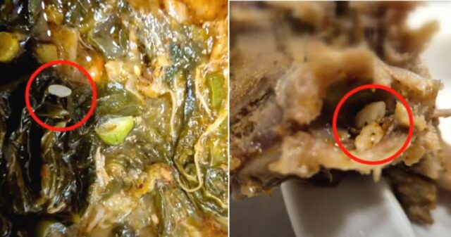 “전주 유명 해장국집서 배달시켰는데…국물과 뼈에서 남이 먹던 밥알이 나왔습니다”