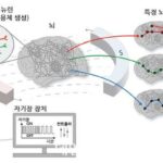 자기장으로 뇌 자극해 감정 조절…IBS, 나노-MIND 기술 개발