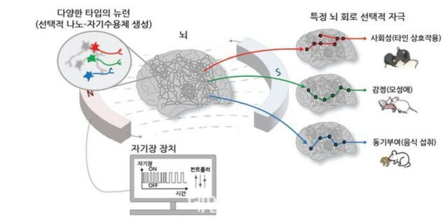 자기장으로 뇌 자극해 감정 조절…IBS, 나노-MIND 기술 개발