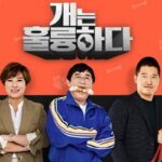 ‘개훌륭’ 오늘(8일) 결방…강형욱 여파로 잠정 폐지 [공식]