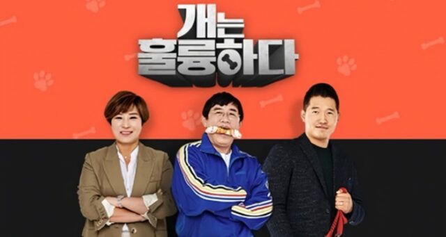 ‘개훌륭’ 오늘(8일) 결방…강형욱 여파로 잠정 폐지 [공식]