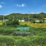 여름여행 속리산국립공원 선유동계곡