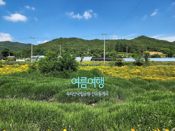 여름여행 속리산국립공원 선유동계곡