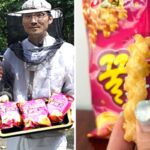 농심 꿀꽈배기 한봉지에 꿀벌 한마리가 70번 모은 꿀 들어가…“귀여워서 어떻게 먹나요”