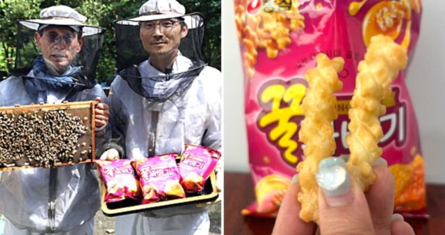 농심 꿀꽈배기 한봉지에 꿀벌 한마리가 70번 모은 꿀 들어가…“귀여워서 어떻게 먹나요”