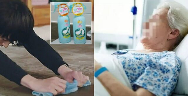 치매 할머니가 냄새난다는 민원에 속상해 해요…MZ 손녀가 ‘발을씻자’로 닦아내자 생긴 기적