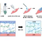GIST, 분말형 수화젤 개발…고수분 환경서도 접착성 우수