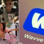 ‘설마’ 하던 사이 이용자 100만명 줄어…1위서 ‘꼴찌’ 추락한 웨이브의 위기