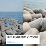 속초 바다 갔다가 ‘방파제’ 처음 봤다는 공무원…“무식하다 vs 모를 수 있다”