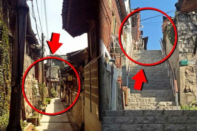 “야간 통금, 버스 금지” 서울시 37년 만에 부활, 과태료까지 뜯는다 선언