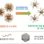 KIST, 전해질 범람 방지하는 은 나노 촉매 개발