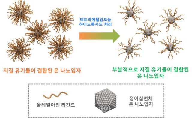 KIST, 전해질 범람 방지하는 은 나노 촉매 개발