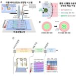 KAIST, 다조건 항암제 효능 동시 평가 ‘스크리닝 기술’ 개발