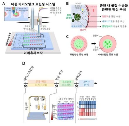 KAIST, 다조건 항암제 효능 동시 평가 ‘스크리닝 기술’ 개발