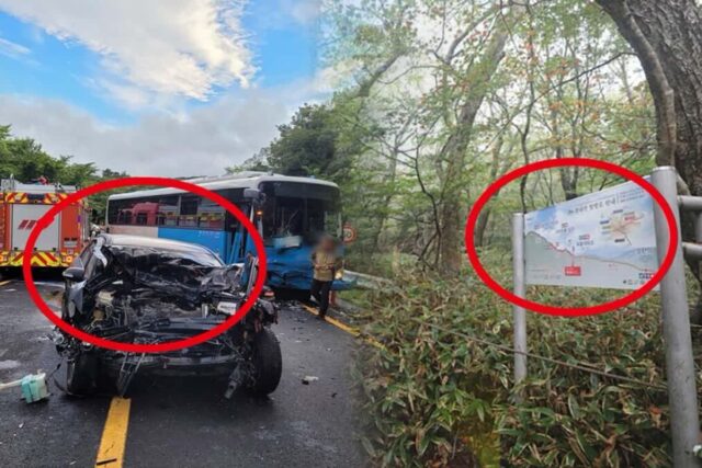 “눈 떠보니 풀숲에…” 무면허 4중 추돌 뺑소니 운전자, 도주 중 한라산에서 붙잡혀