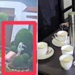 태국 방콕 최고급 호텔서 외국인 6명 숨진 채 발견…“독살 추정”