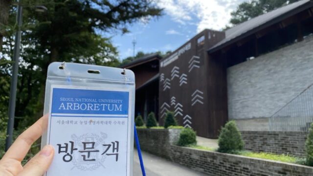 하루 18명에게만 허락된 ‘치유의 숲’ 알음알음 입소문 퍼진 서울대 관악수목원, 직접 가봤더니