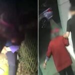 산에서 길 잃고 헤매는 할머니 ‘등에 업고’ 내려와 가족 품에 안겨드린 ‘청년 경찰’ (영상)