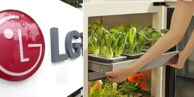 2년 전부터 ‘이 사업’ 밀더니… LG전자, 매출 1조 초대박 터졌다