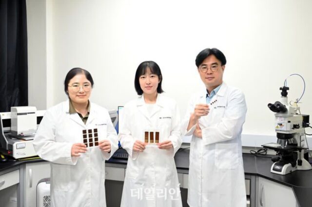 재료연, 혈액 내 암 돌연변이 유전자 검출 기술 개발