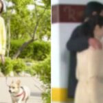 애견 미용실 간다던 아내 뒤쫓아가 봤더니… “강아지와 모텔 가는 걸 목격했습니다”
