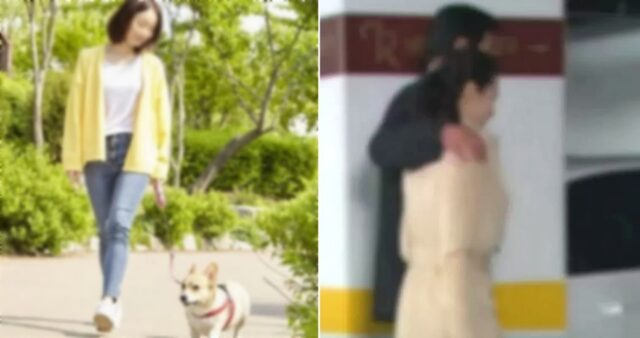 애견 미용실 간다던 아내 뒤쫓아가 봤더니… “강아지와 모텔 가는 걸 목격했습니다”