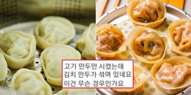 고기만두 1팩에 ‘서비스’ 김치만두 얹어줬더니…“기분 나빠” 리뷰테러한 고객