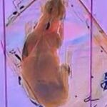 공항 엑스레이 통과한 배낭 속에 반려견…주인 변명 들어보니