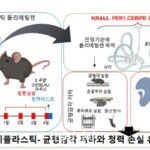미세플라스틱 섭취 시 정상군보다 20db 더 큰 소리에 반응
