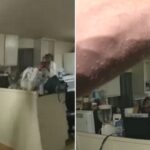 침입자 있다고 신고한 흑인 여성… 출동한 백인 경찰, 신고자에 총격 가해 살해