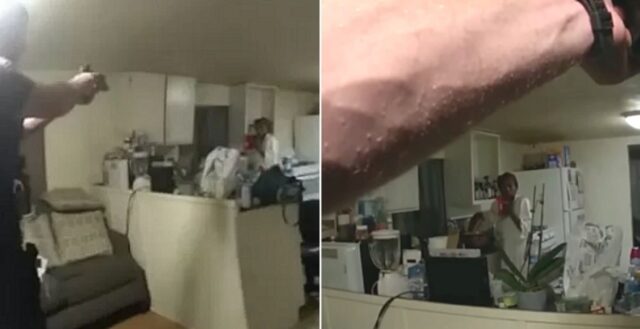 침입자 있다고 신고한 흑인 여성… 출동한 백인 경찰, 신고자에 총격 가해 살해
