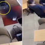 샤넬백 들고 있으면서… 갑자기 비 내리자 알바생 우산 ‘몰래’ 훔쳐간 손님