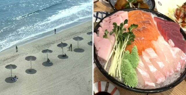 부산 앞바다 37% 사막화… 앞으로 해산물 먹기 어려워진다