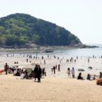 “아빠 살려줘” 해수욕장 놀러 간 20대 딸 문자 남기고 실종… 숨진 채 발견