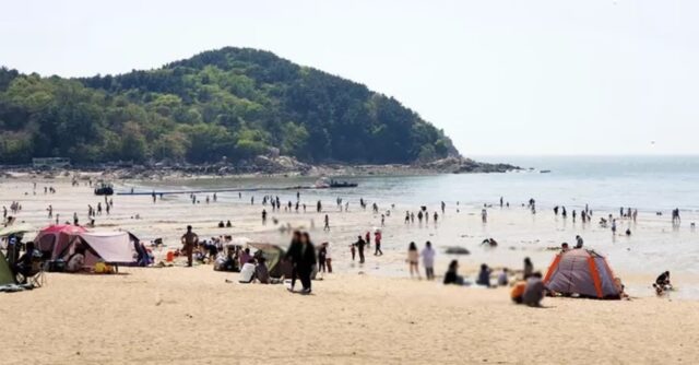 “아빠 살려줘” 해수욕장 놀러 간 20대 딸 문자 남기고 실종… 숨진 채 발견