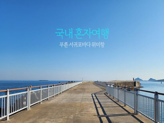국내 혼자여행 푸른 서귀포 바다 위미항