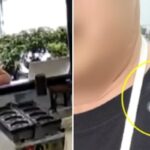 “빵 다시 내놔!”… 치즈 모양 마음에 안 든다고 업주에 빵 던진 중년 여성 (영상)