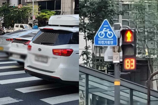 “서울시, 신호등 싹쓸이” 운전자들 드디어 후진국 벗어난다 대환호!