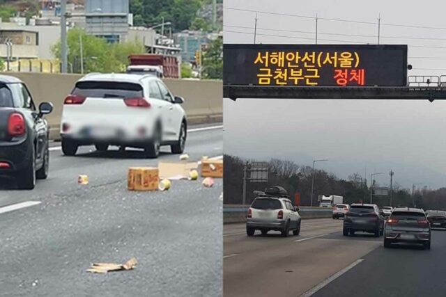 “고속도로 공짜 파티?” 정부, 운전자 40명 선착순 뿌린다