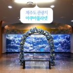 제주도 관광지 추천 아쿠아 플라넷 아이와 함께 여름휴가