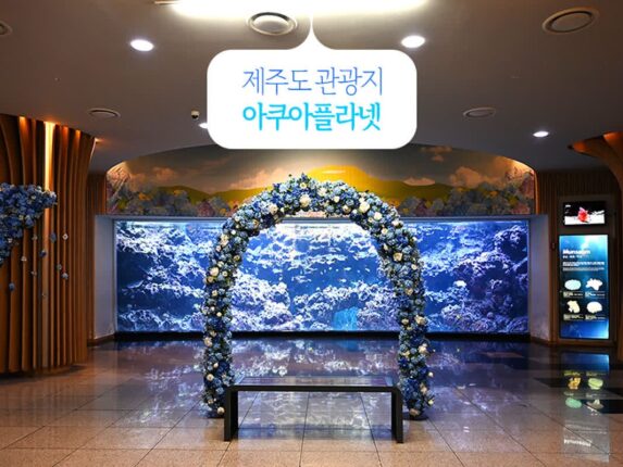 제주도 관광지 추천 아쿠아 플라넷 아이와 함께 여름휴가