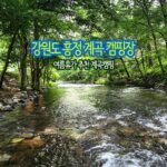 강원도 흥정 계곡 캠핑장 여름휴가 추천 계곡캠핑